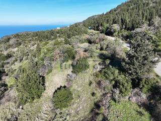 Η θέα από το κτήμα