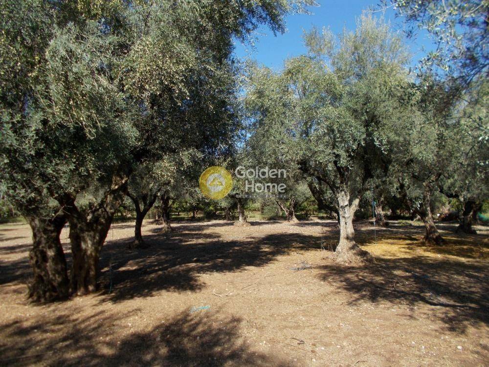 Εξωτερικός Χώρος