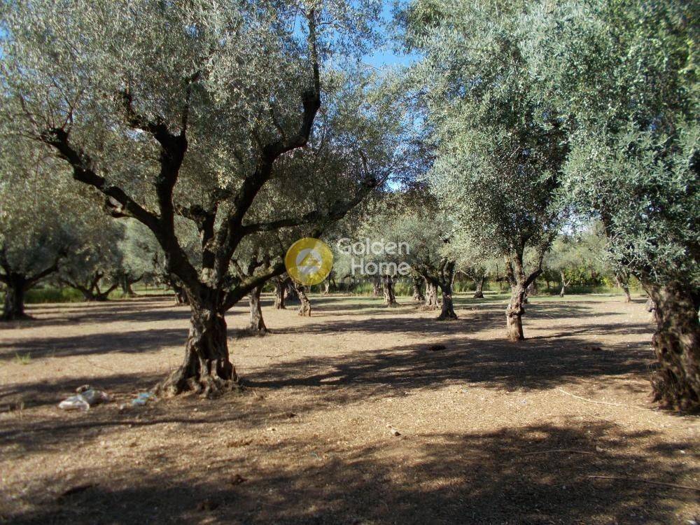 Εξωτερικός Χώρος