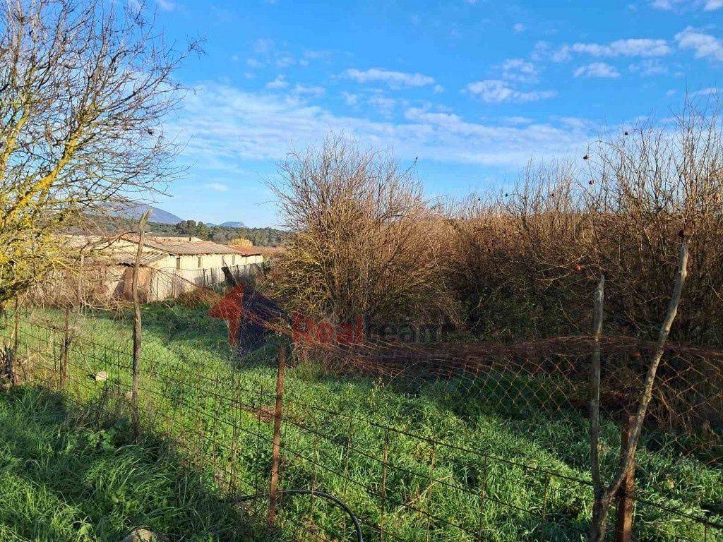 Εξωτερικοι χώροι