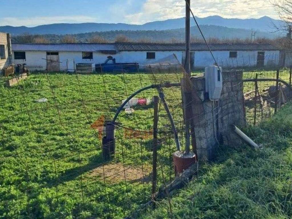 Εξωτερικοι χώροι