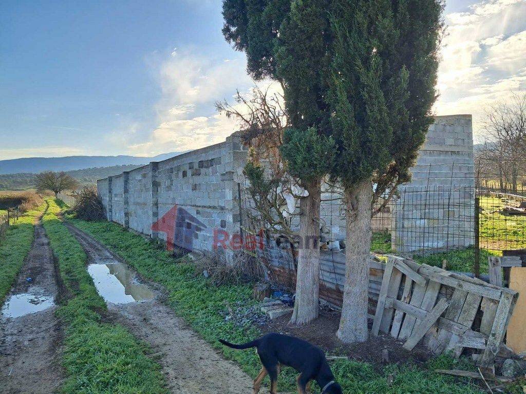 Εξωτερικοι χώροι