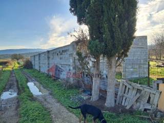 Εξωτερικοι χώροι