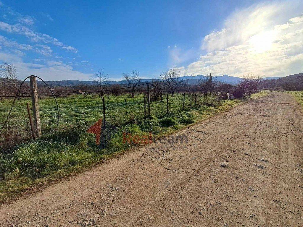 Εξωτερικοι χώροι