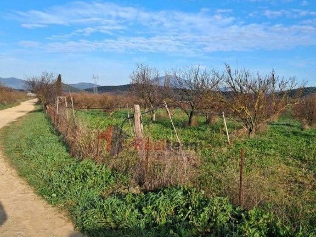 Εξωτερικοι χώροι