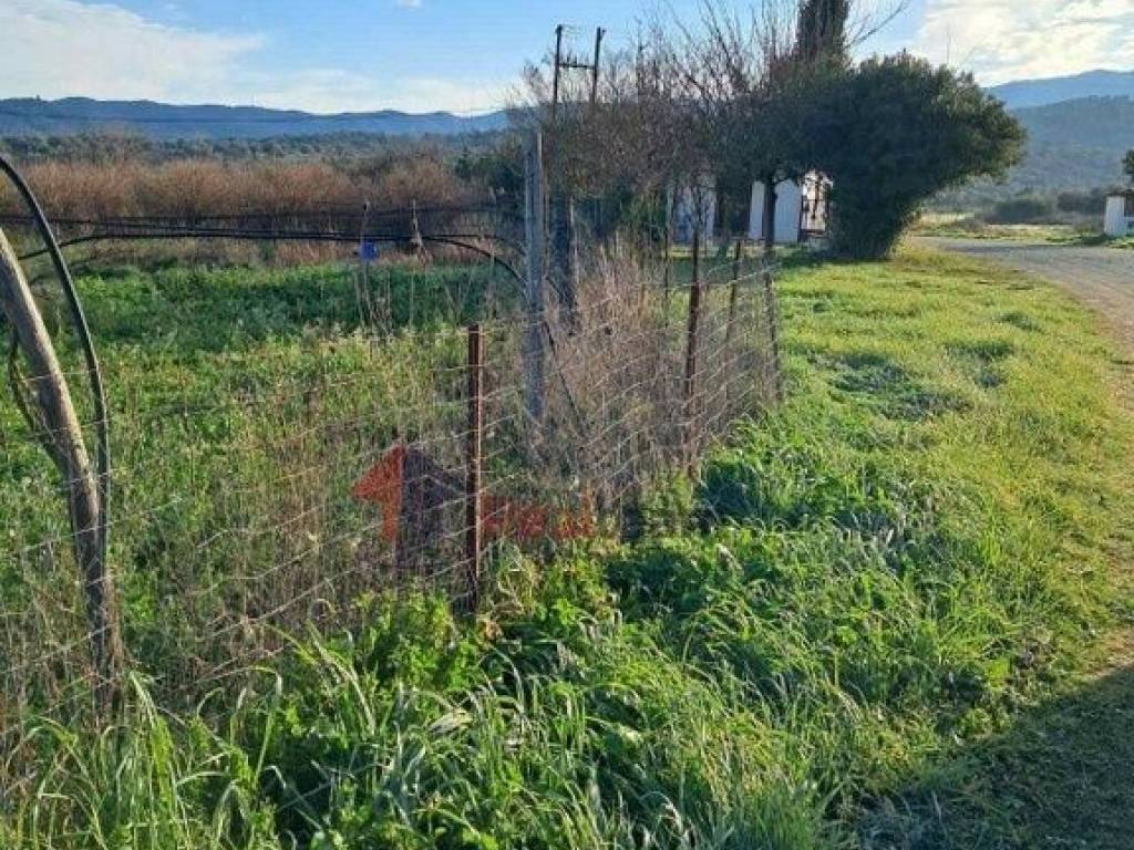 Εξωτερικοι χώροι