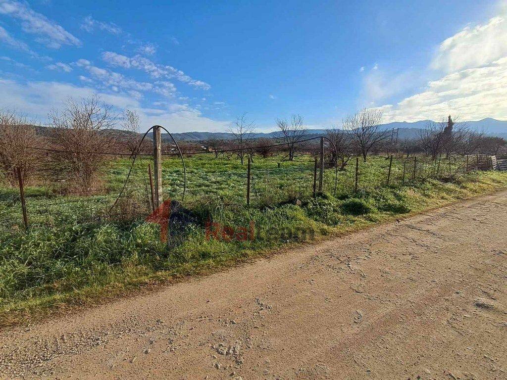 Εξωτερικοι χώροι