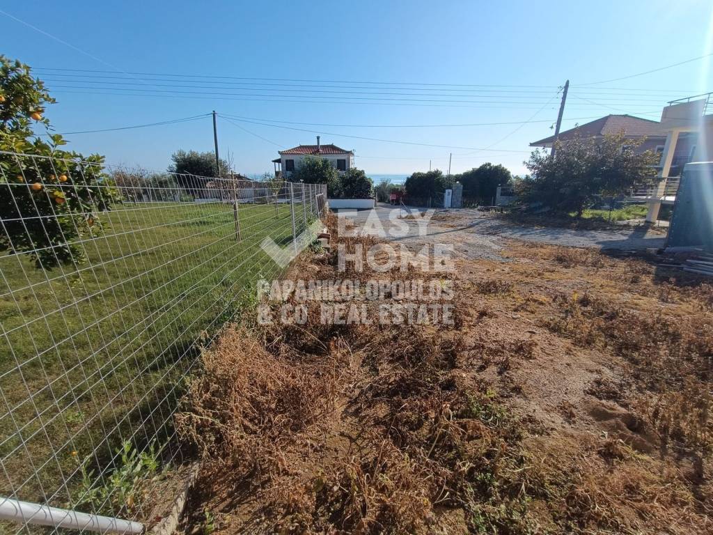 Εξωτερικοι χώροι