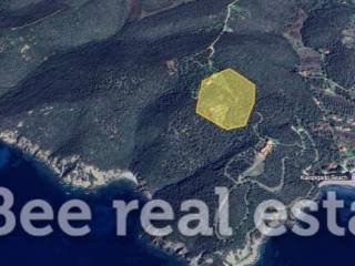 Άποψη εξωτερικού χώρου