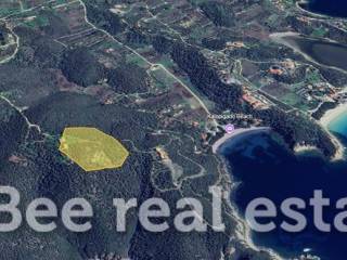 Άποψη εξωτερικού χώρου