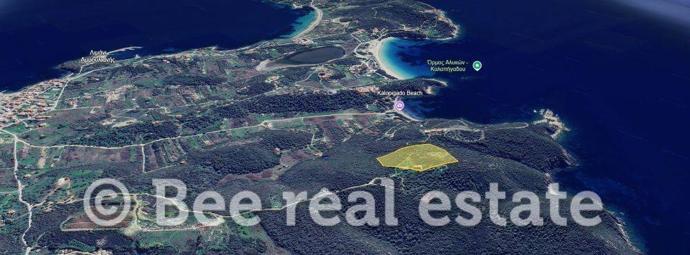 Άποψη εξωτερικού χώρου