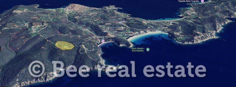 Άποψη εξωτερικού χώρου