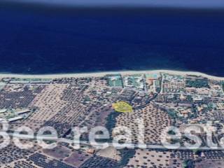 Άποψη εξωτερικού χώρου