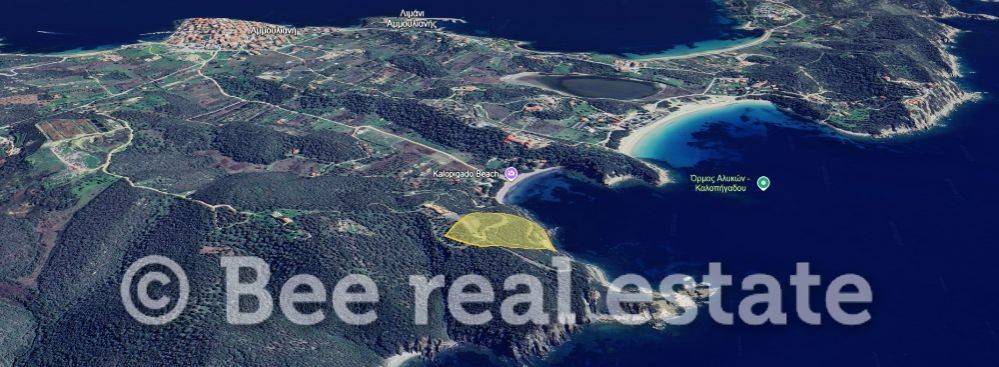 Άποψη εξωτερικού χώρου