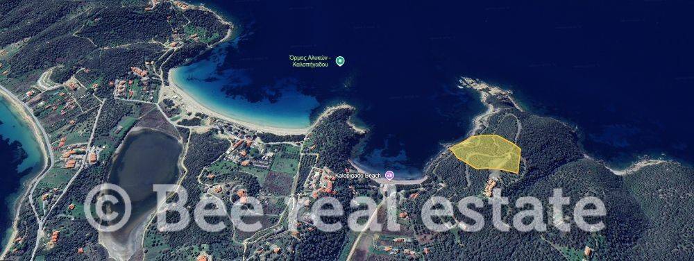 Άποψη εξωτερικού χώρου