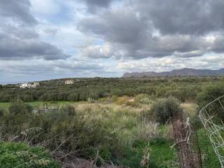 Plot - Grekodom 65280|1044075