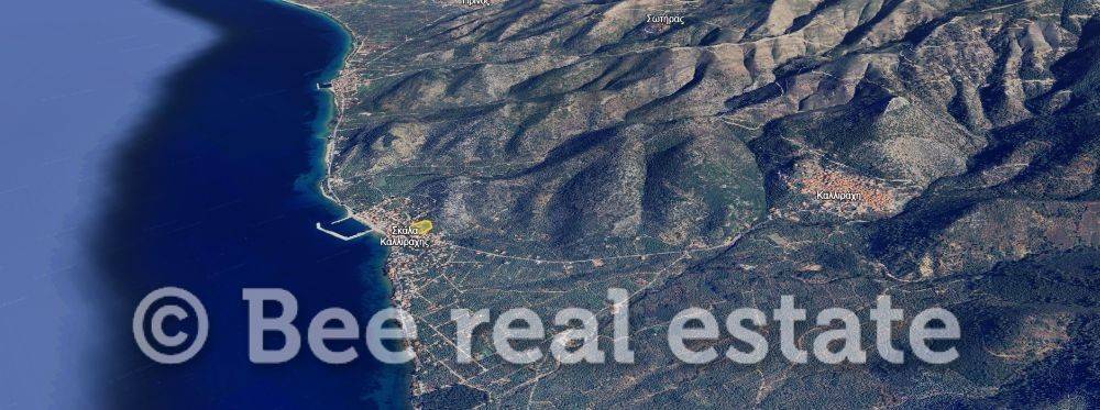 Άποψη εξωτερικού χώρου