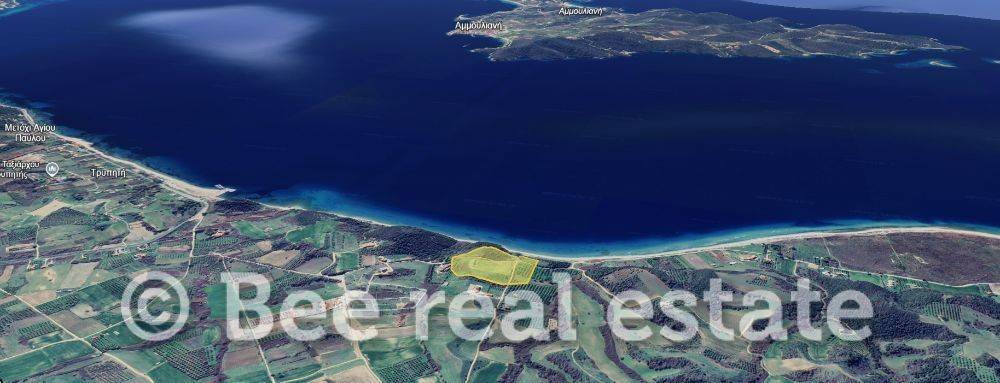 Άποψη εξωτερικού χώρου