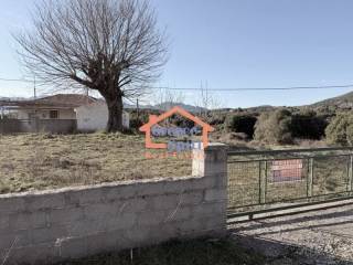 Ύπαρξη ανθρώπου