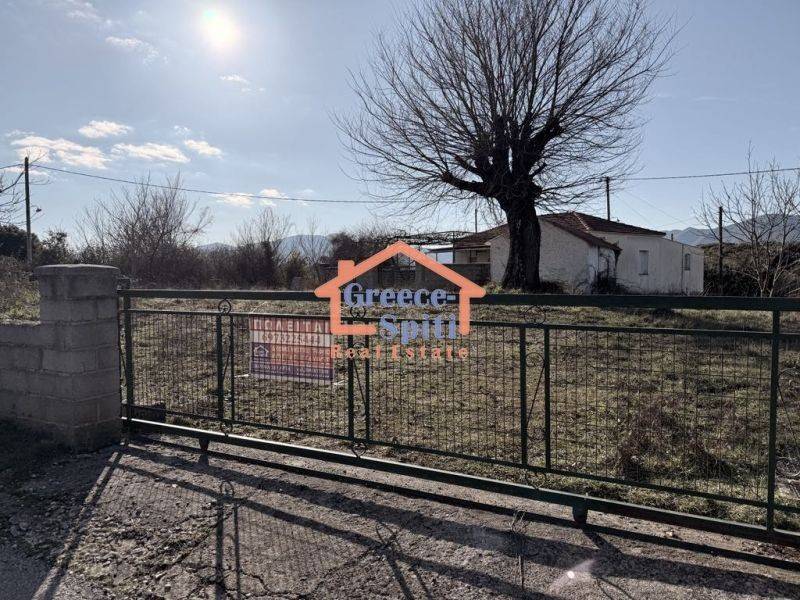 Ύπαρξη ανθρώπου