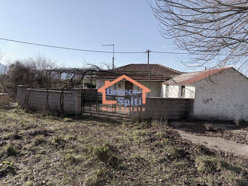 Ύπαρξη ανθρώπου