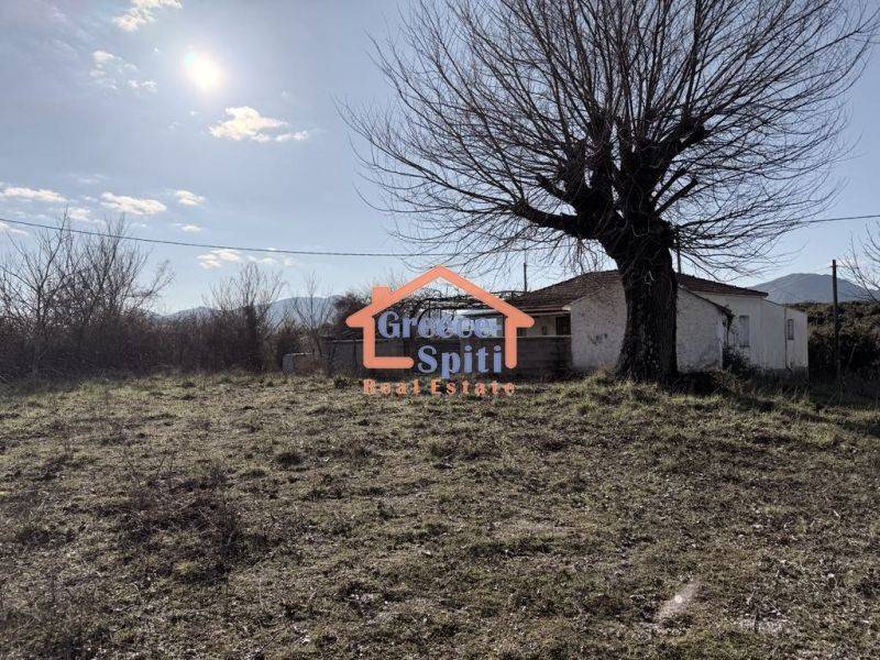 Ύπαρξη ανθρώπου