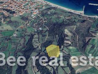 Άποψη εξωτερικού χώρου