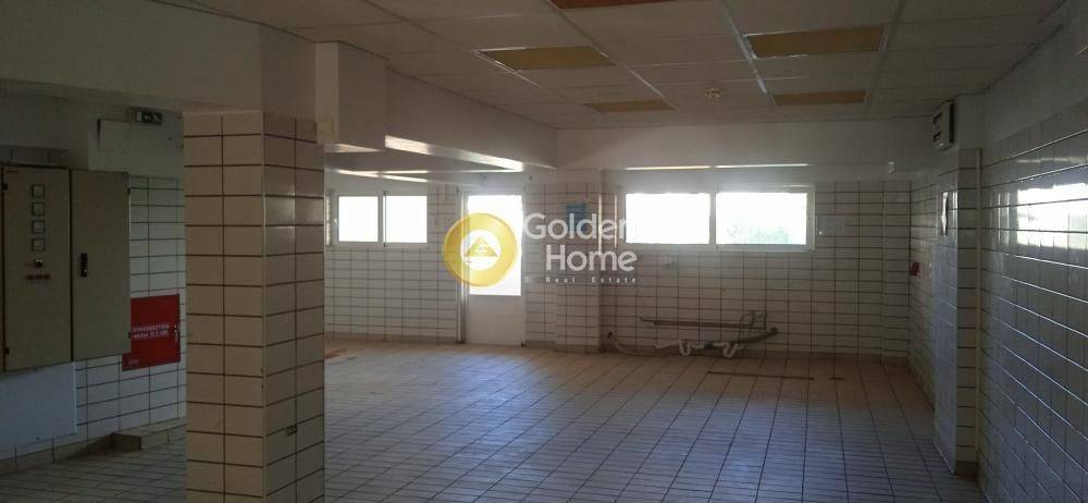 Κυρίως Χώρος