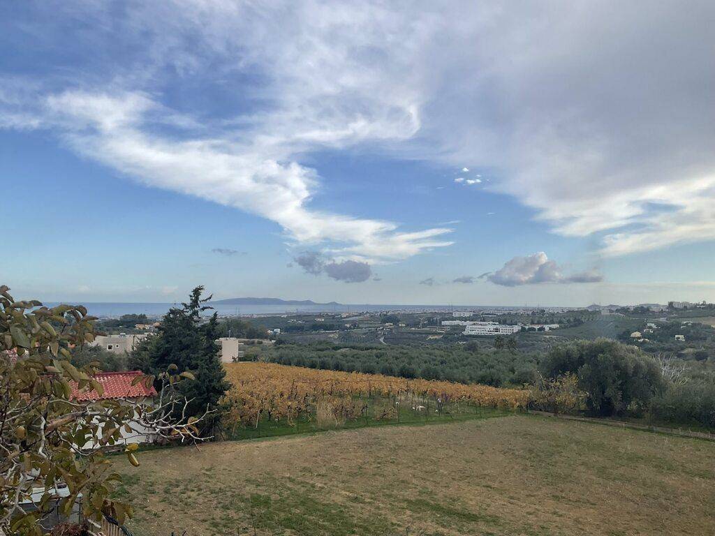 Building - Grekodom 61785|935712