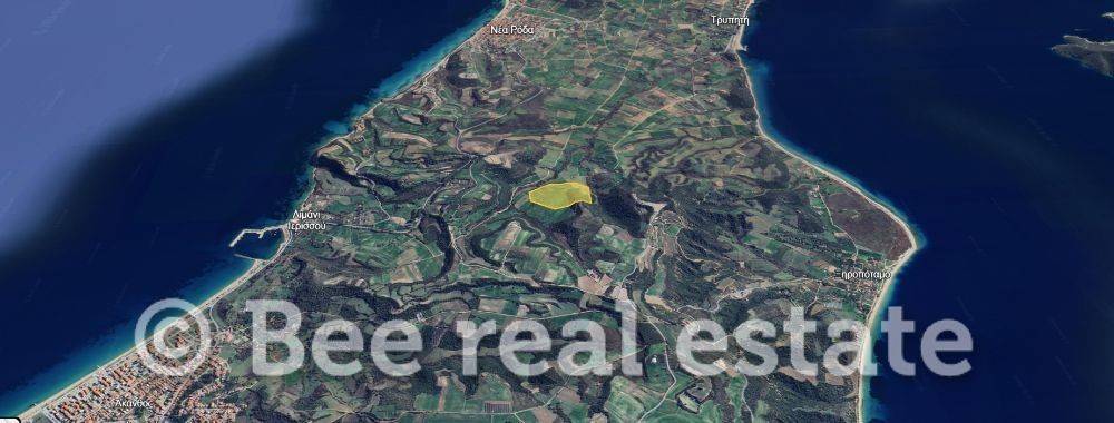 Άποψη εξωτερικού χώρου