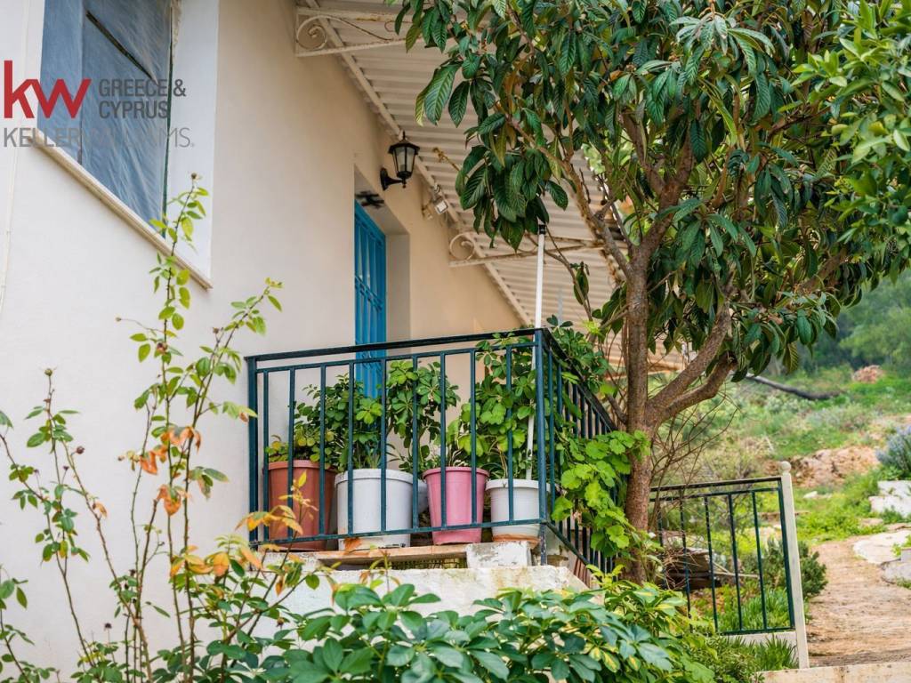 Εξωτερικοι χώροι