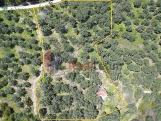 Εξωτερικοι χώροι