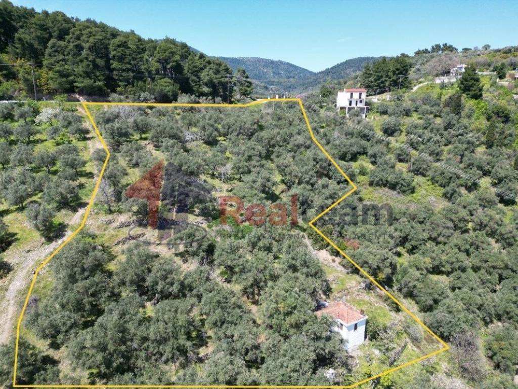 Εξωτερικοι χώροι