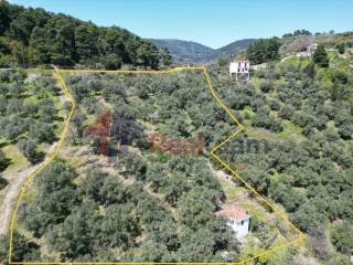 Εξωτερικοι χώροι