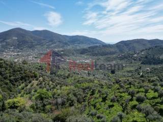 Εξωτερικοι χώροι