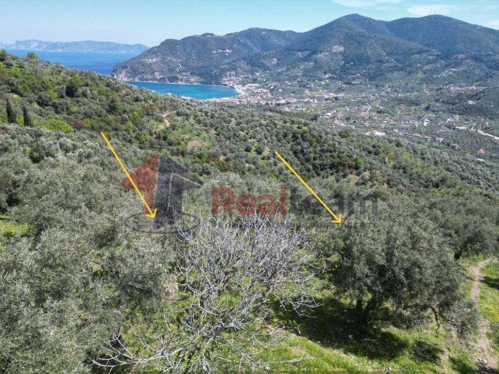 Εξωτερικοι χώροι