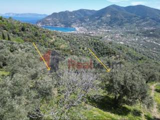 Εξωτερικοι χώροι