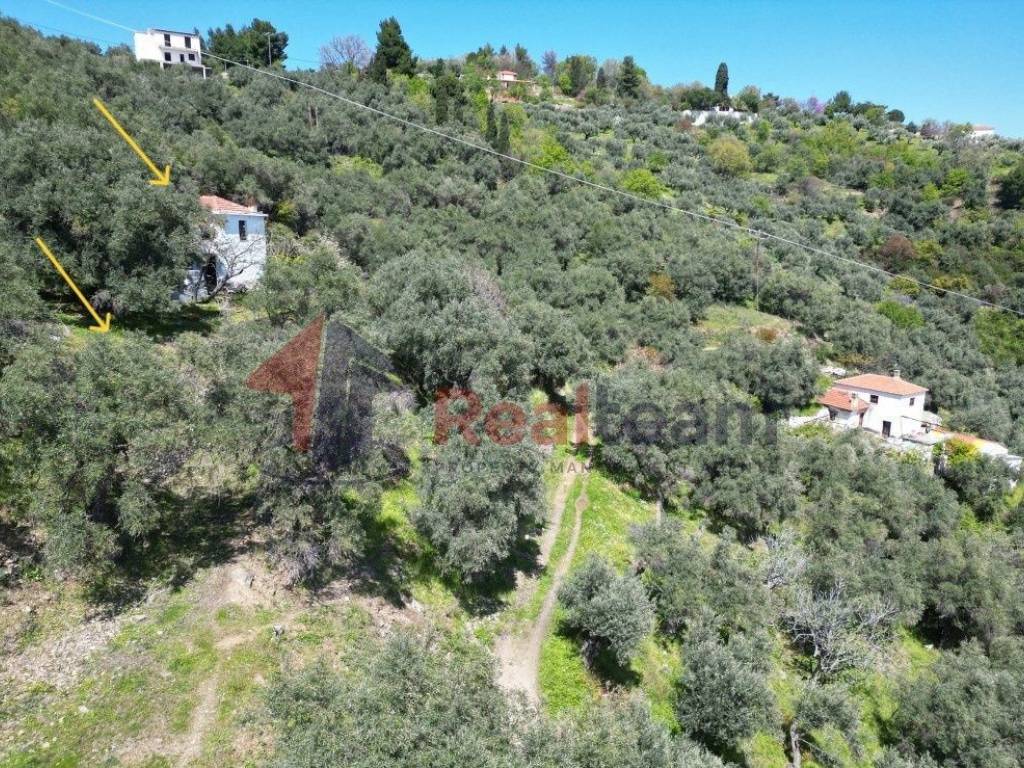 Εξωτερικοι χώροι