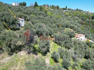 Εξωτερικοι χώροι