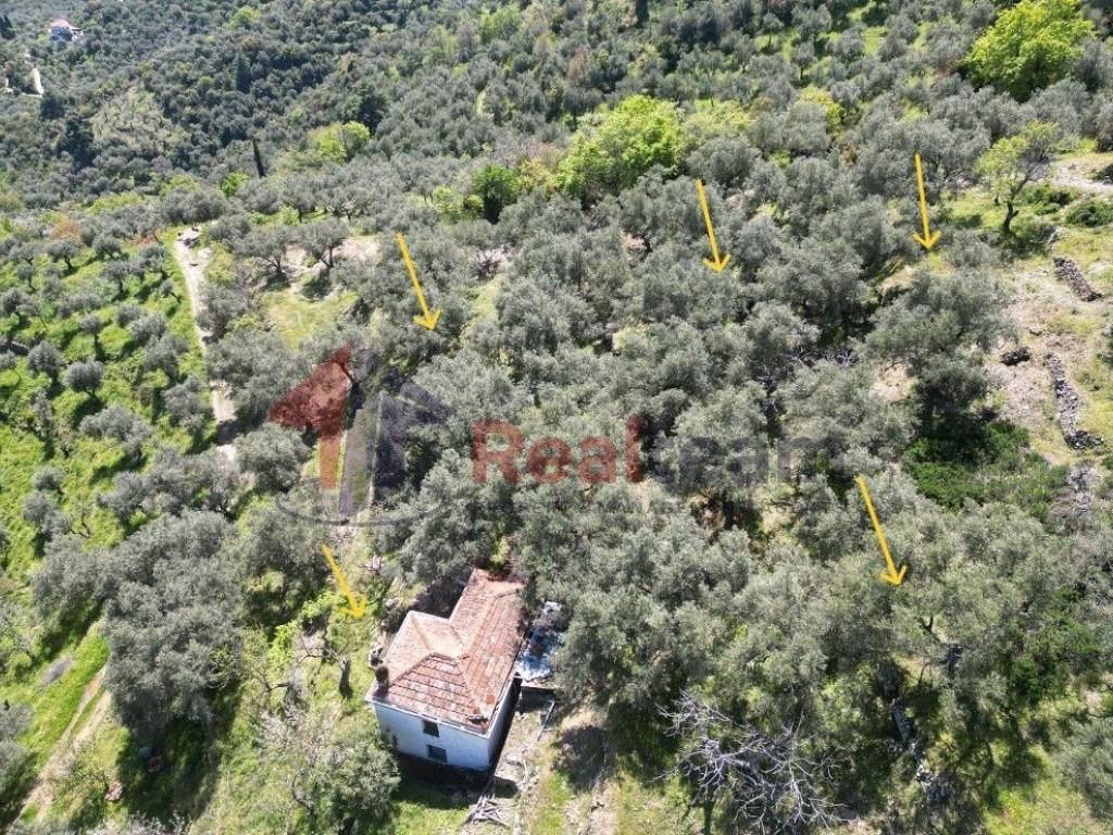 Εξωτερικοι χώροι