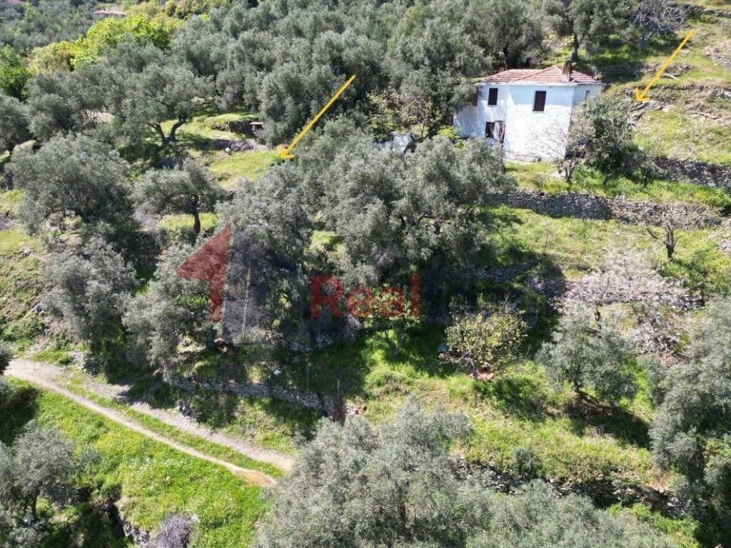 Εξωτερικοι χώροι