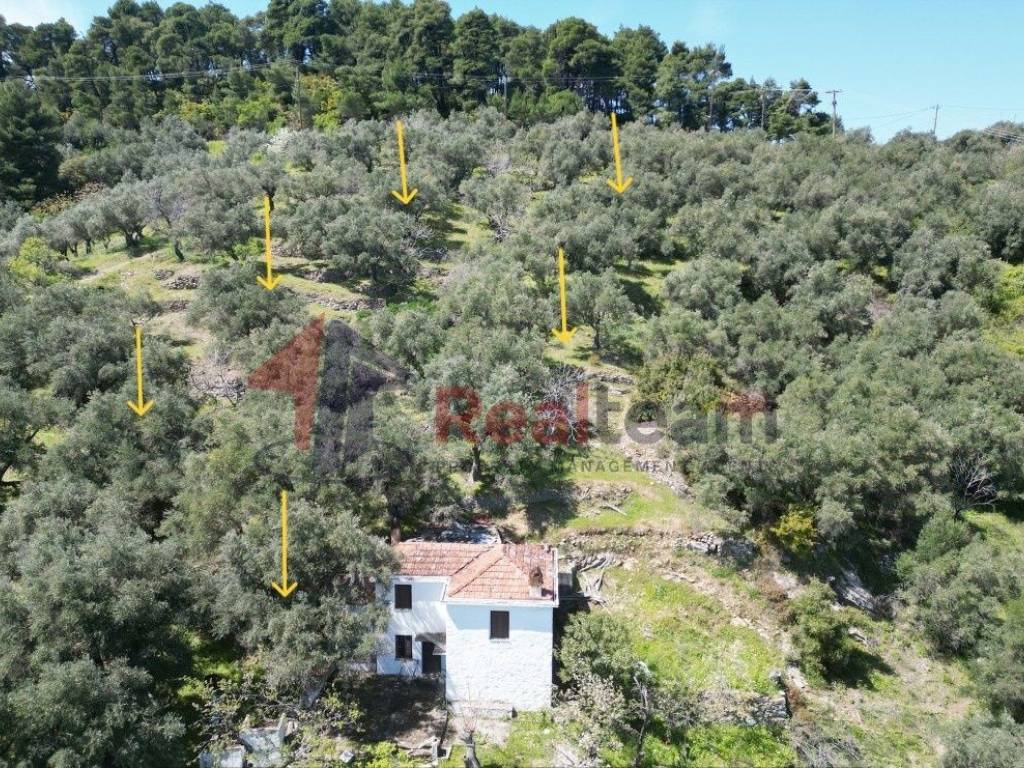 Εξωτερικοι χώροι