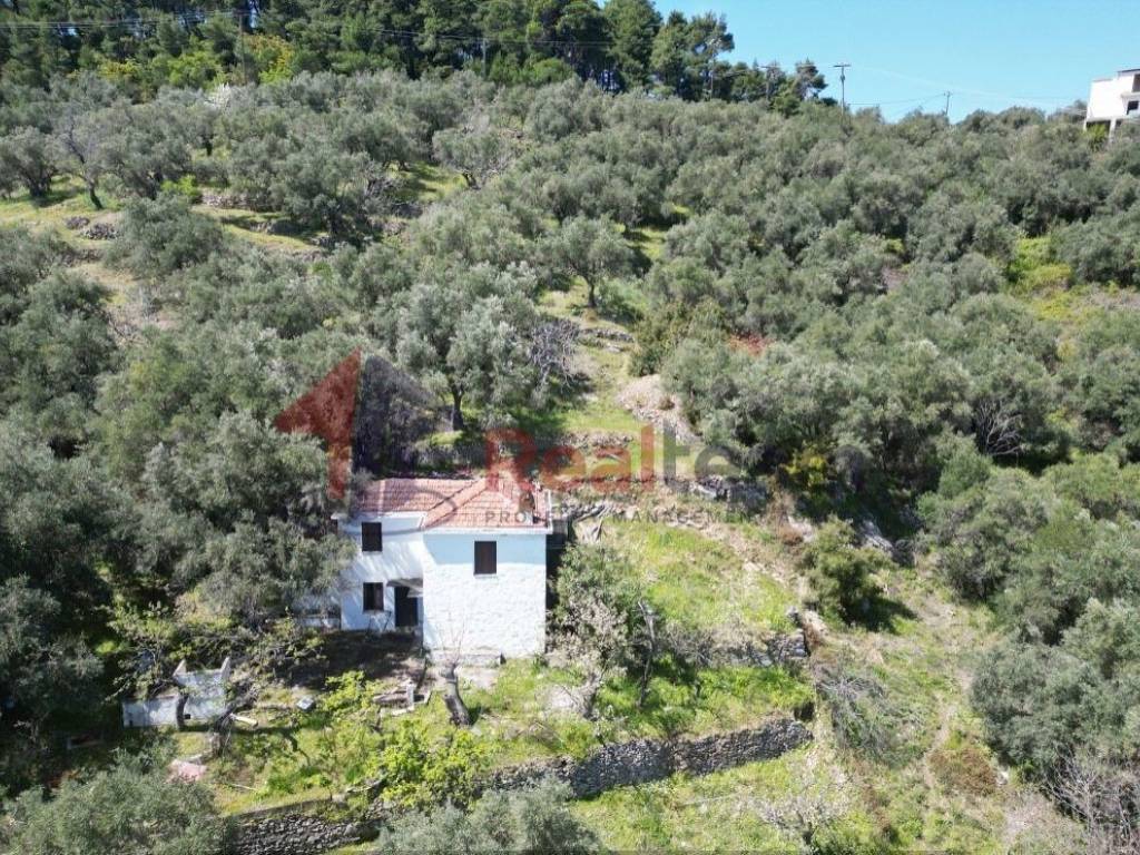 Εξωτερικοι χώροι