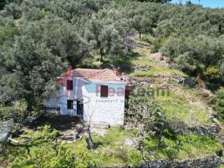 Εξωτερικοι χώροι