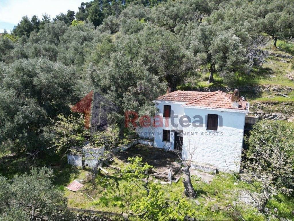 Εξωτερικοι χώροι