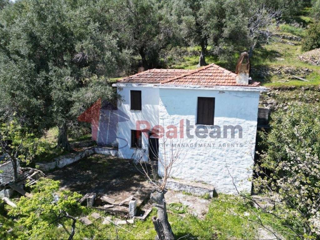 Εξωτερικοι χώροι