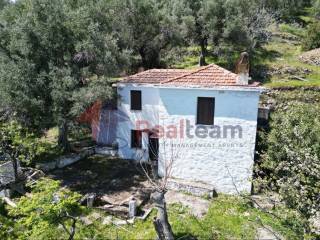 Εξωτερικοι χώροι