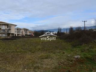 ΑΠΟΨΗ ΟΙΚΟΠΕΔΟΥ