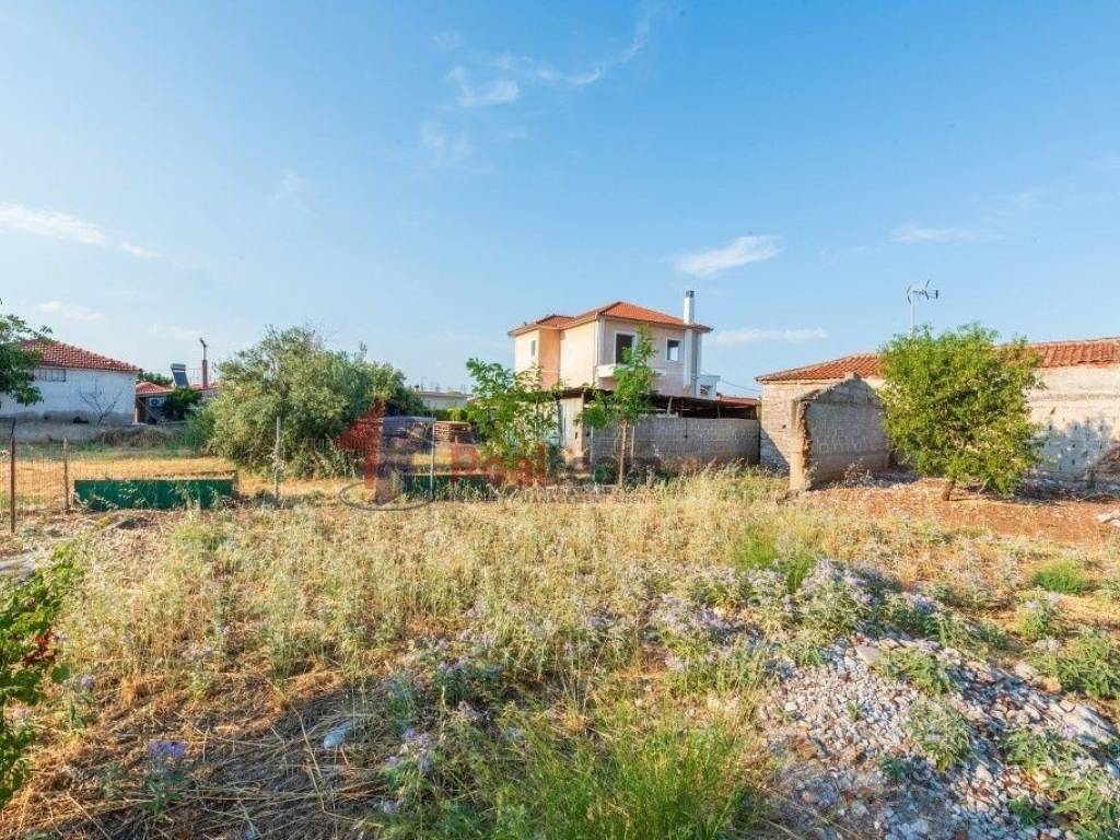 Εξωτερικοι χώροι