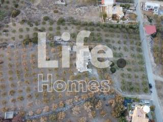 Ύπαρξη ανθρώπου